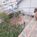 Spatiu comercial de vanzare in Campina